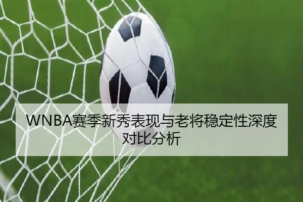 WNBA赛季新秀表现与老将稳定性深度对比分析